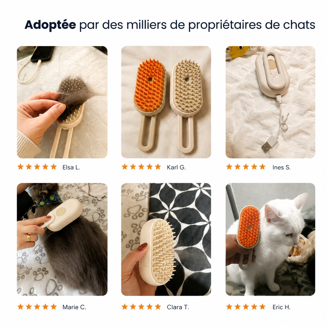 Brosse à Vapeur pour Chat - Groomly
