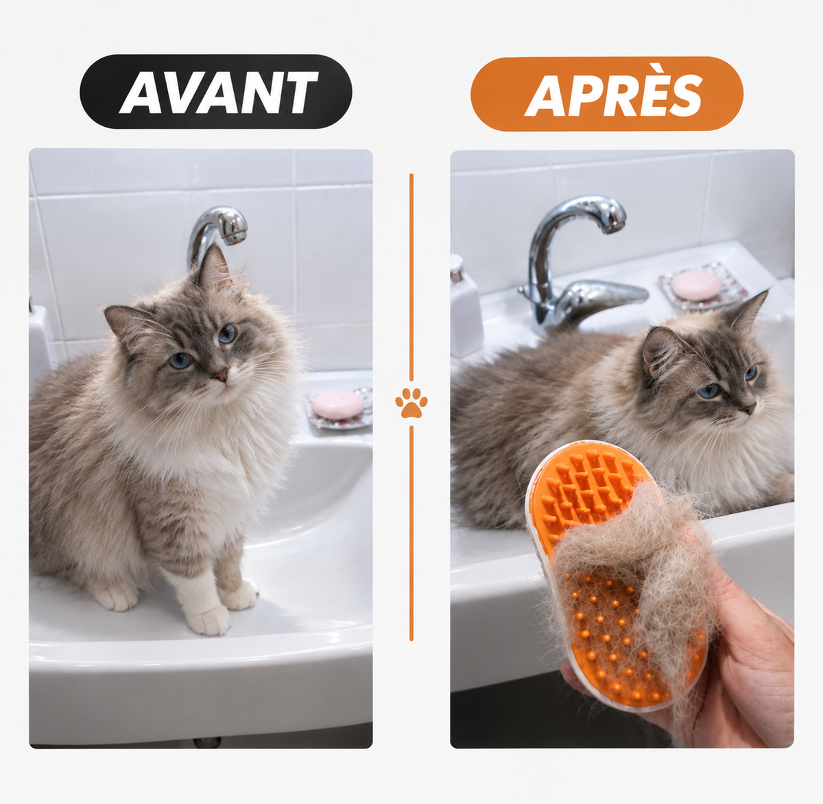 Brosse à Vapeur pour Chat — Toilettage Doux & Sans Effort